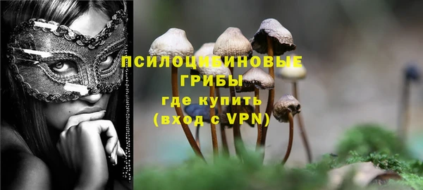 метадон Арсеньев