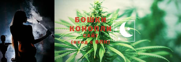ешки Аркадак