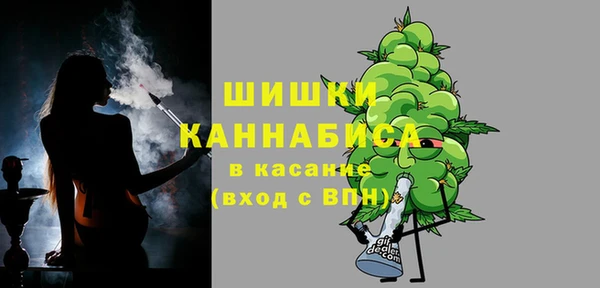 ешки Аркадак