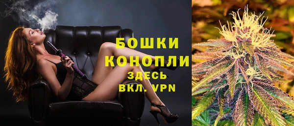 ешки Аркадак