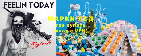 ешки Аркадак