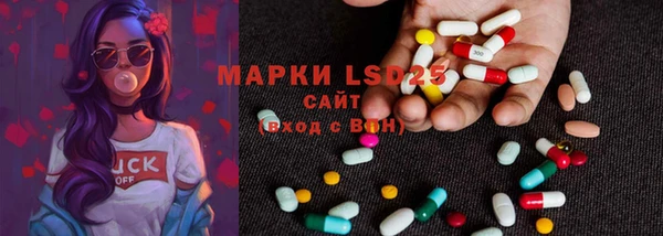 ешки Аркадак