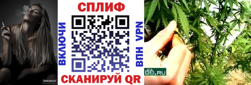 Каннабис индика Грайворон